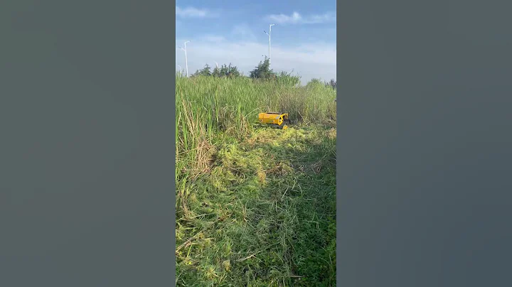 High Quality Grass Cutting Machine Cheap Efficient Cutter#mower #lawnmower #weeding #farming