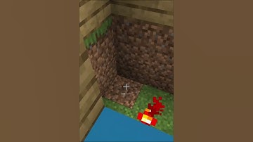 Cool Block Swapper #short #minecraft  #block #shorts #cool #minecraftshorts