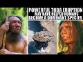 Did Humans Become the Dominant Species Because of Toba Super Volcano?