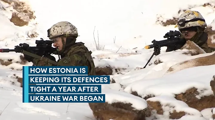Ukraine war has given Estonian military 'confidence' in its forces - DayDayNews