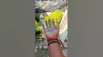 Multifunctionele en handige artikelen in het moderne leven