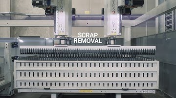 Lasorting = Astes4 SA + Mitsubishi Laser