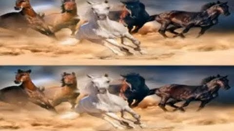 Find the differences 500 levels #15 - Level 281-300