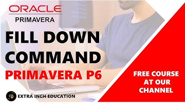 Fill Down Command in Primavera P6 #construction management