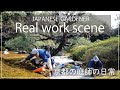 【Japanese Garden】Real work scene of a gardener in Kyoto 1 -Pine pruning-　京都の庭師の日常　-黒松の剪定-