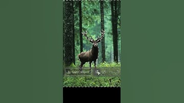 INCREDIBLE New AI in Photoshop Beta! - Adobe Firefly #shorts #tech #technology #photoshop #ai #adobe