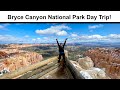 Day Trip to Bryce Canyon National Park: Things to Do in the Park!