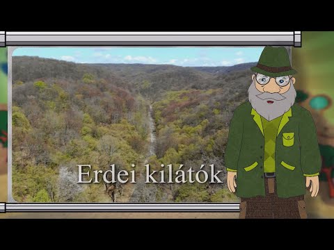 Erdő Ernő bácsi meséi – Az erdei kilátók