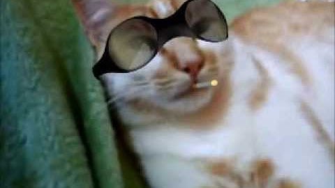 Blender testing : object tracking / virtual glasses / smoke