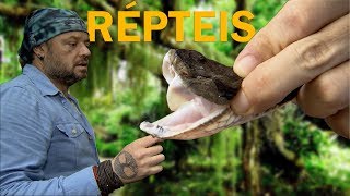 OS RÉPTEIS DA MATA ATLÂNTICA! | RICHARD RASMUSSEN