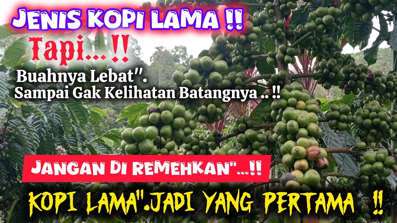 💫 KABAR MENGHEBOHKAN