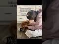 5things you're doing that actually stress out your dog #stress #dogs #doglover #PetsOfTikTok #natpat
