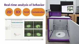 What Is Ai-Realtime Mouse Tracking?