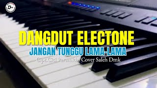 DANGDUT ELECTONE DON'T WAIT FOR LONG/Cipt. Cici Paramida/Cover By Saleh