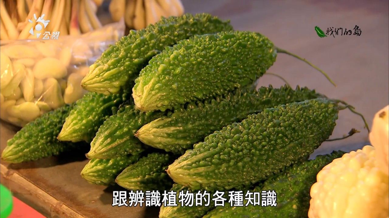 我們的島第928集野菜新勢力 17 10 30 Youtube 我們的島第928集野菜新勢力 17 10 30 Youtube