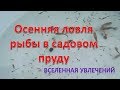 ОСЕННИЙ УЛОВ В САДОВОМ ПРУДУ .  vselennaya uvlesheniy