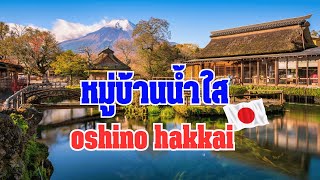 ค้นพบเสน่ห์ "หมู่บ้านน้ำใส Oshino Hakkai" สุดฟิน! ❄️ กับครอบครัวเรา | เช่ารถขับ