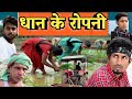 धान के रोपनी।।Dhan ke ropani।।Mani Meraj Vines।।@Mani Meraj Vines