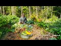 Vegetable Garden in the Forest, August Update | Self Sufficiency
