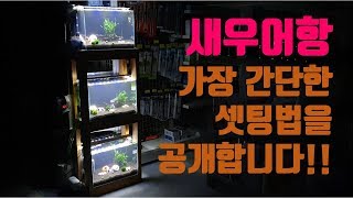 새우어항을 셋팅하는 가장 간단한 방법!