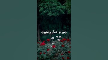 القارئ هزاع البلوشي🎧🥺راحه نفسيه🕊️أجمل حالات واتس تلاوه خاشعه مؤثره 𝙌𝙪𝙧𝙖𝙣✨🧡