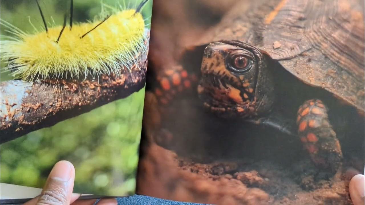 Shutterfly 8x8 photo book review and unboxing youtube