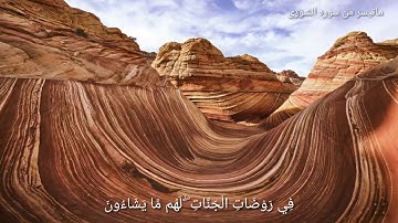 تلاوة تريح القلب ماتيسر من سوره الشورى