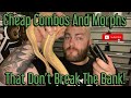 Cheap Ball Python Combos And Morphs That Don't Break The Bank!