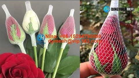 Plastic flower protection net bud net mesh rose net machine +86-15254790898