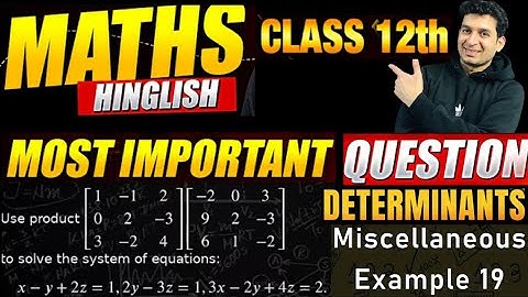 Class 12th Maths | Miscellaneous Examples 19 | Chapter 4: Determinants | NCERT