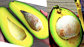 Do they taste different? |  Eating 2 kinds of avocados | How to choose, cut and eat an avocado