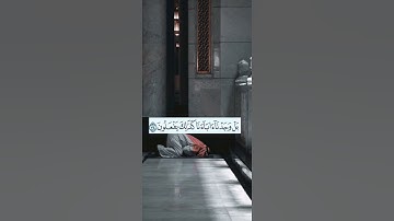 و اتل عليهم نبأ ابراهيم... القاريء اسلام صبحي سورة الشعراء ♥️✨