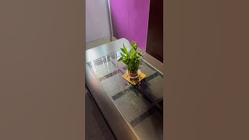 Scattering of light by dust particles