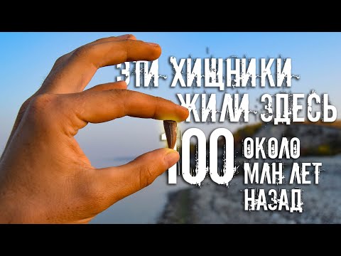 Что можно найти в отложениях Мелового периода на берегу Волги?| Ищем зубы древних акул