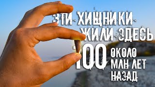 видео: Что можно найти в отложениях Мелового периода на берегу Волги?| Ищем зубы древних акул картинка: Что можно найти в отложениях Мелового периода на берегу Волги?| Ищем зубы древних акул
