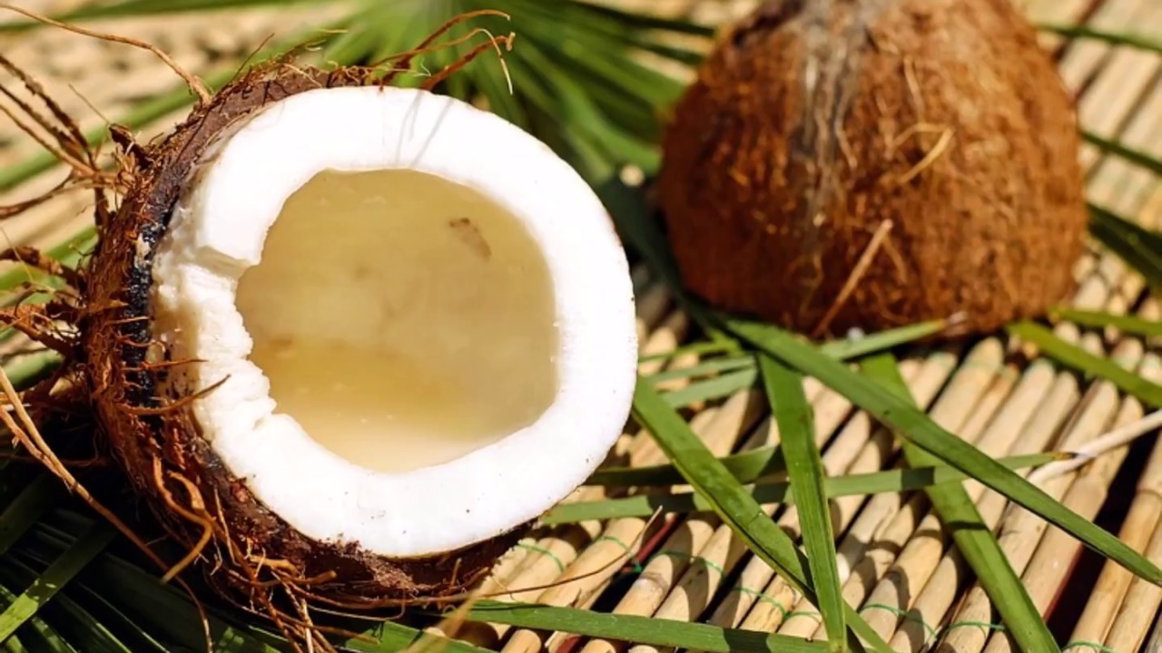 The Coconut Song YouTube