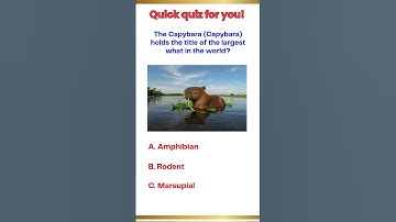 Capybara Quiz #1: The Largest What in the World?
