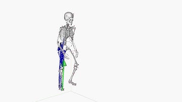 OpenSim Full-Body Model: Stair Climbing