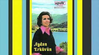 Yaylanın Çimenine - Aydan Erküvün Resimi