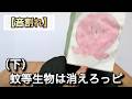 【音割れ】蚊にイラついてるタコピー
