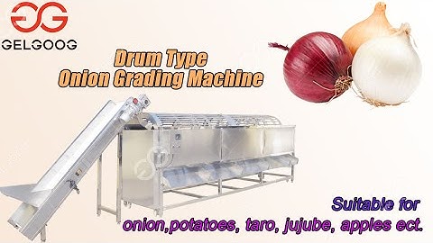 Automatic Onion Grading Machine Drum Type Potato Sorting Machine