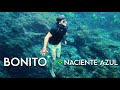 BONITO - Naciente Azul y Gruta Catedral