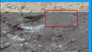 417C2F93D2ADFC74D9F7D24F572F89#1