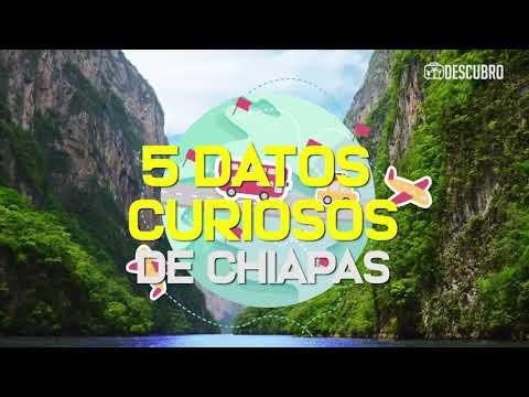 Cinco datos curiosos