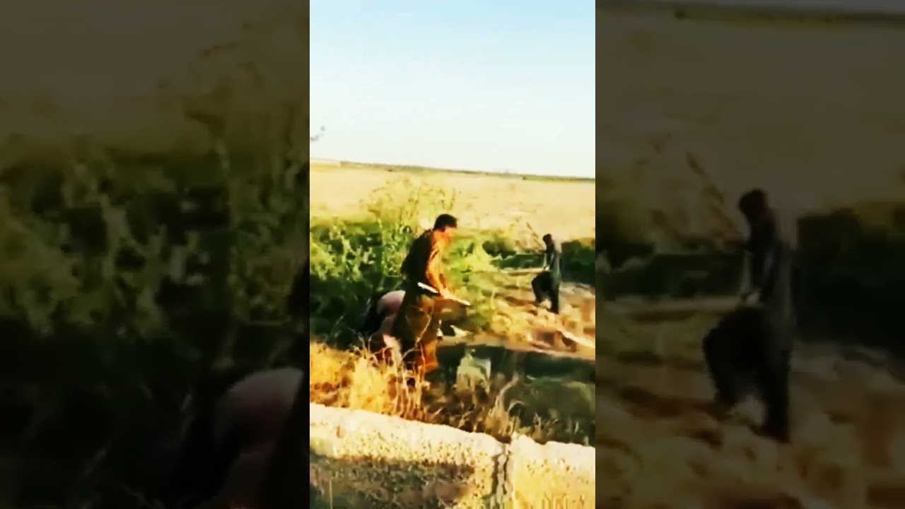 MANDI KARACHI NORTHERN BYPASS MEMORY EID UL ADHA BACK NOW SEASON 2024 SHORT REVIEW 💙💙