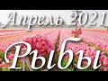 Прогноз на месяц Апрель 2021 года для представителей знака зодиака Рыбы