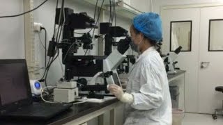 Two cloned monkeys born in China