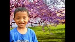 Download lagu peterpan - tak ada yang abadi