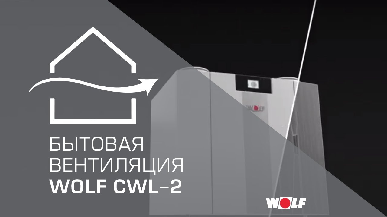 WOLF CWL 2 YouTube wolf-cwl-2-youtube