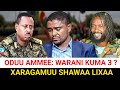 Shimallis Vs WBO Oromiyaa Keessatti Maltuu Ta E Moha Oromo Shimallis Vs WBO Oromiyaa Keessatti Maltuu Ta E Moha Oromo